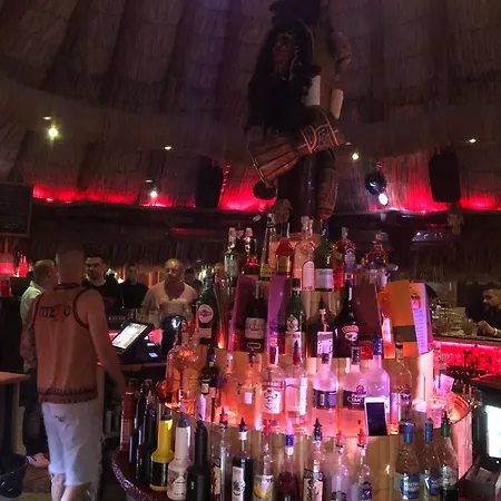 Sunny In Sunny Lejlighed