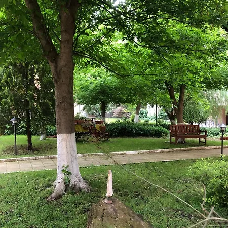 Lejlighed Sunny In Sunny